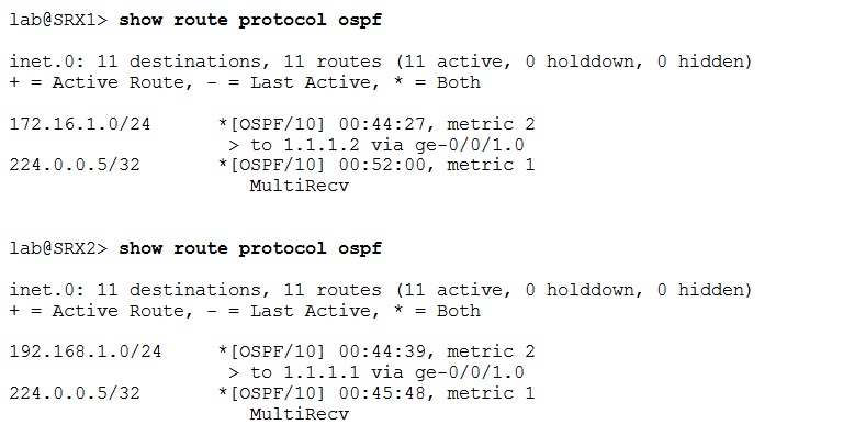 inetzero-blog-NAT-exchanged-over-OSPF-CLI-3