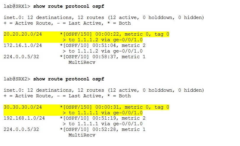 inetzero-blog-NAT-exchanged-over-OSPF-CLI-7